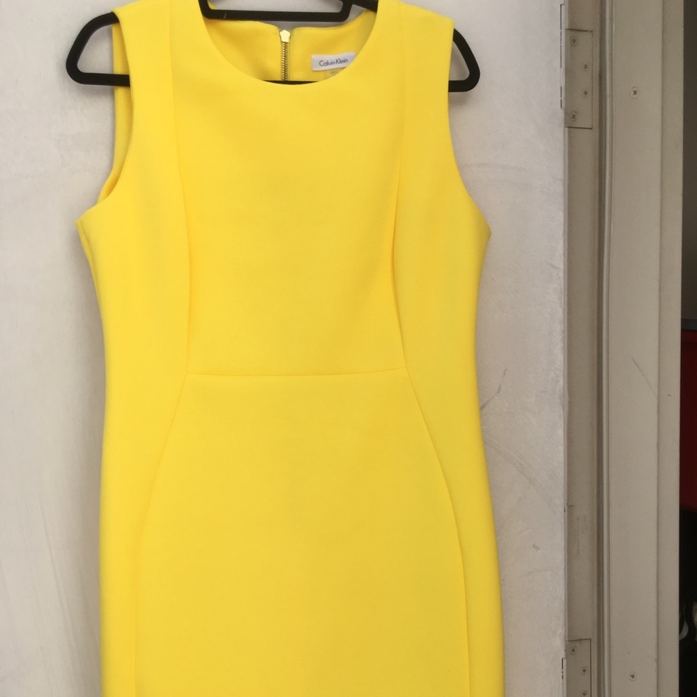 Calvin Klein Fitted Sheath Dress